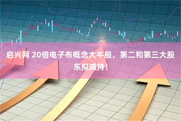 启兴网 20倍电子布概念大牛股，第二和第三大股东拟减持！