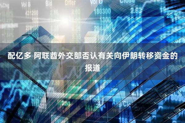 配亿多 阿联酋外交部否认有关向伊朗转移资金的报道