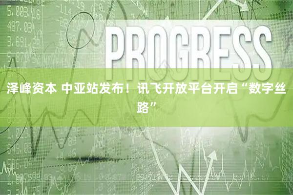 泽峰资本 中亚站发布！讯飞开放平台开启“数字丝路”